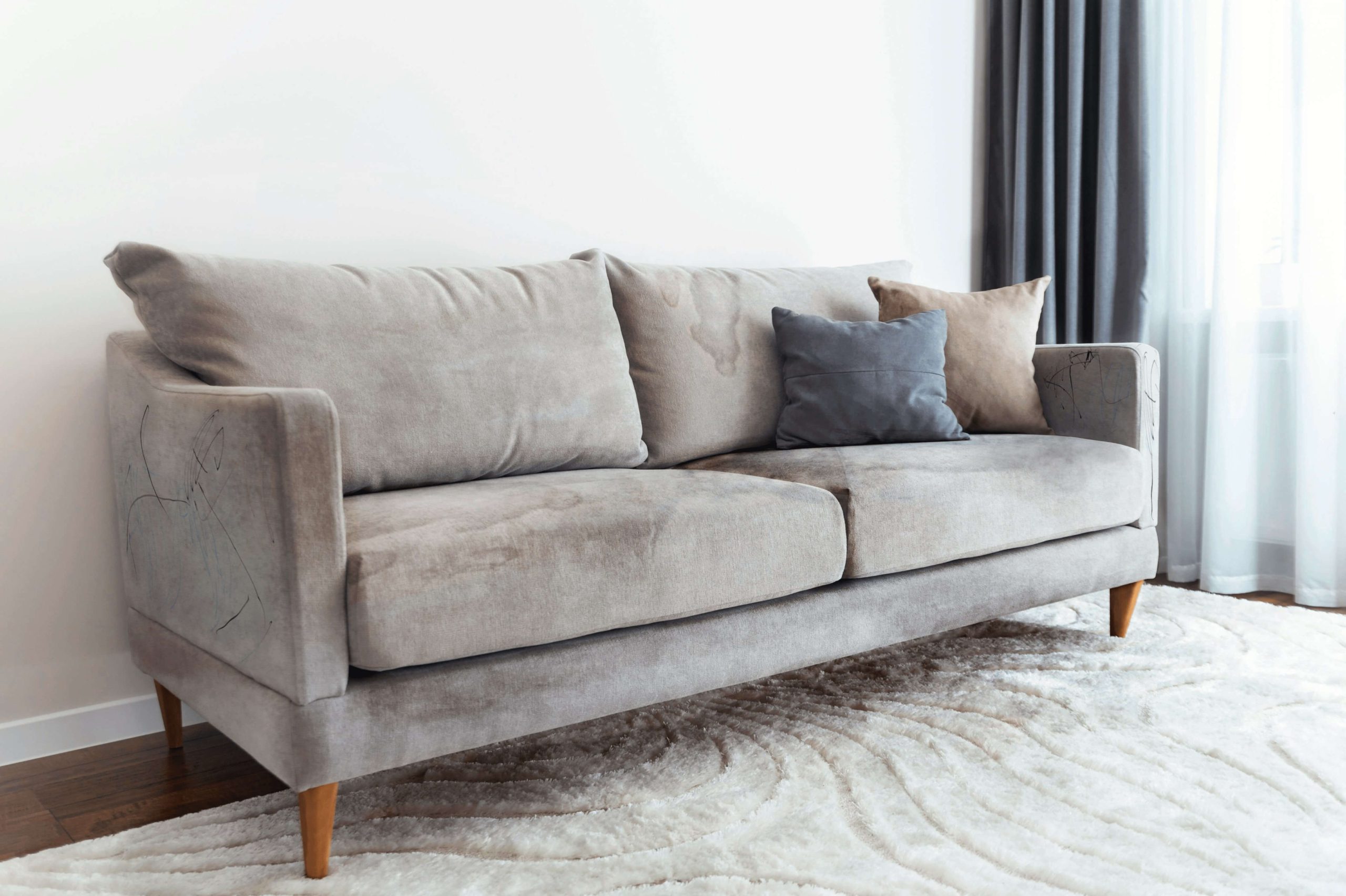 couch and carpet cleaning nyc